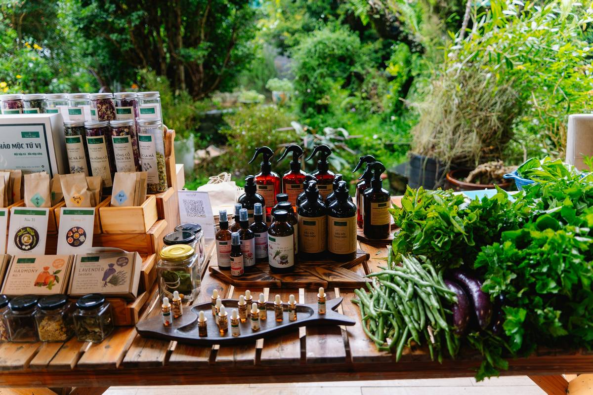 Non Toxic Makeup Brands in India: 7 Proven Reasons to Avoid the “Clean” Greenwashing Trap